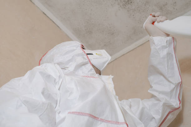 Best White Mold Remediation in Mill Neck, NY